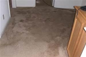 carpet with black mold